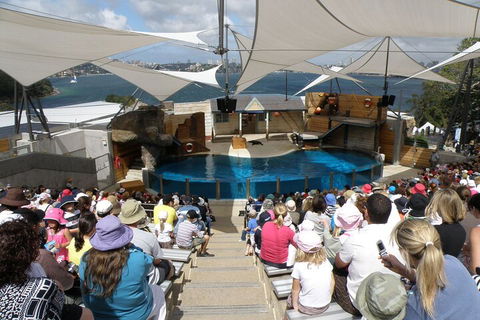 Sydney Taronga Zoo General Entry Ticket - Tourism Brisbane 5