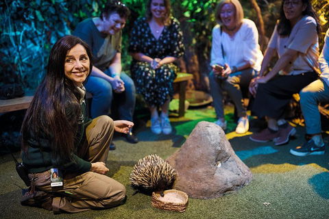 Sydney Taronga Zoo's Australian Animals Tour - Tourism Brisbane 0