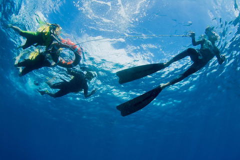 Passions Of Paradise Great Barrier Reef Snorkel And Dive Cruise From Cairns By Luxury Catamaran - Tourism Brisbane 2