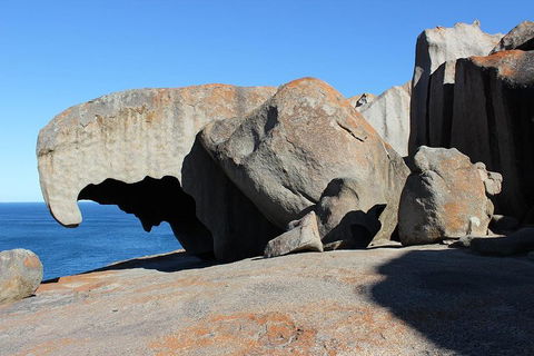 Kangaroo Island Personal Group Tours - Tourism Brisbane 2