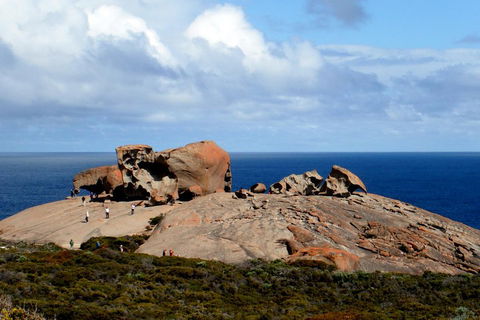 Kangaroo Island Personal Group Tours - Tourism Brisbane 5