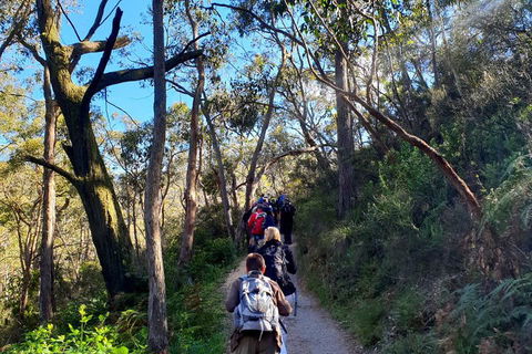 Self-Guided Waterfall Gully To Mount Lofty Hike From Adelaide - Tourism Brisbane 1