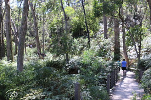 Self-Guided Waterfall Gully To Mount Lofty Hike From Adelaide - Tourism Brisbane 2