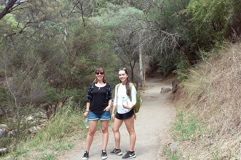 Self-Guided Waterfall Gully To Mount Lofty Hike From Adelaide - Tourism Brisbane 4