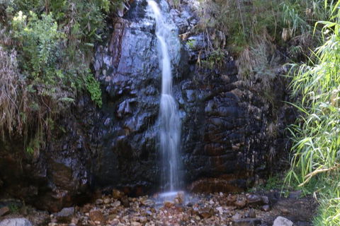 Self-Guided Waterfall Gully To Mount Lofty Hike From Adelaide - Tourism Brisbane 5