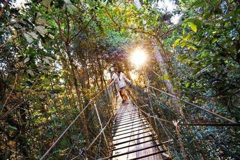 O'Reilly's & Lamington National Park From Brisbane - Tourism Brisbane 5