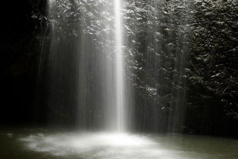 Natural Bridge Glow Worm Night Tour From Gold Coast - Tourism Brisbane 2