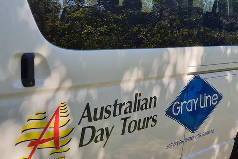 Natural Bridge Glow Worm Night Tour From Gold Coast - Tourism Brisbane 5