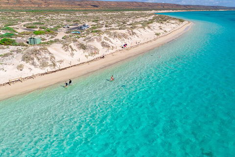 Ningaloo In A Day - Full Day Hike And Snorkel Tour With Lunch - Tourism Brisbane 0