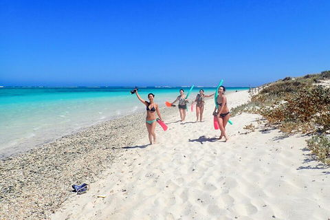 Ningaloo In A Day - Full Day Hike And Snorkel Tour With Lunch - Tourism Brisbane 1