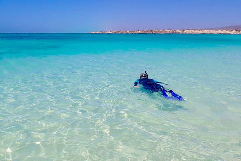 Ningaloo In A Day - Full Day Hike And Snorkel Tour With Lunch - Tourism Brisbane 4
