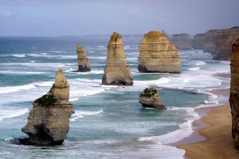 LGBT+ Friendly 2 Day Private Tour Great Ocean Road + Phillip Island - Tourism Brisbane 0
