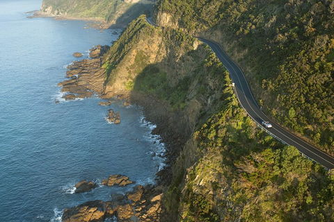 LGBT+ Friendly 2 Day Private Tour Great Ocean Road + Phillip Island - Tourism Brisbane 4