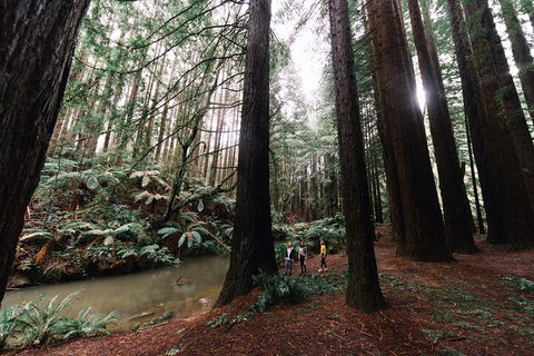 LGBT+ Friendly 3 Day Private Tour Great Ocean Road & Phillip Island - Tourism Brisbane 2