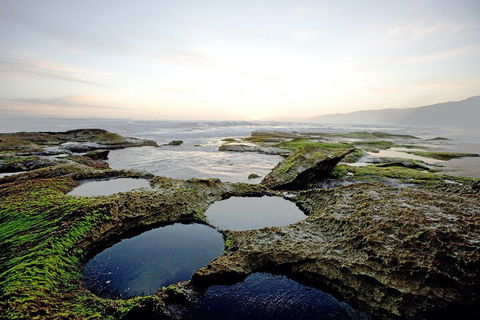 LGBT+ Friendly 3 Day Private Tour Great Ocean Road & Phillip Island - Tourism Brisbane 5