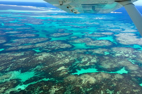 Shipwreck Special Full Day Tour Of The Abrolhos Islands - Tourism Brisbane 1