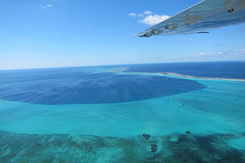 Shipwreck Special Full Day Tour Of The Abrolhos Islands - Tourism Brisbane 2