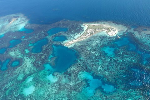 Shipwreck Special Nature Tour/Half Day Tour - Tourism Brisbane 5