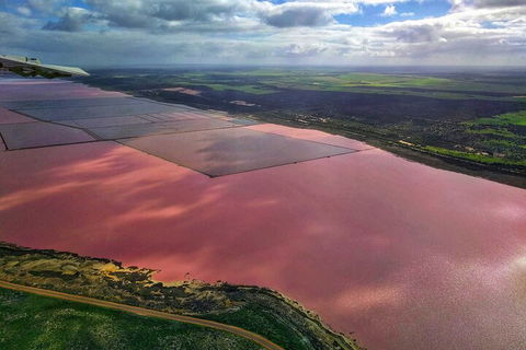 Kalbarri, Pink Lake And Abrolhos Islands Nature Tour - Tourism Brisbane 1