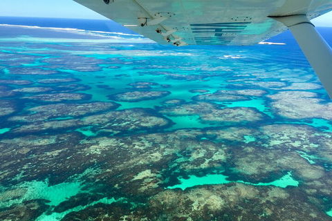 Kalbarri, Pink Lake And Abrolhos Islands Nature Tour - Tourism Brisbane 5
