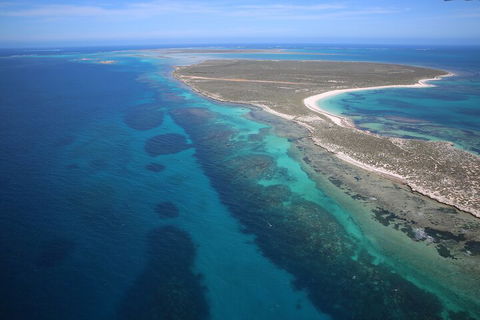 Pink Lake + Abrolhos Islands Scenic Flight - Tourism Brisbane 0