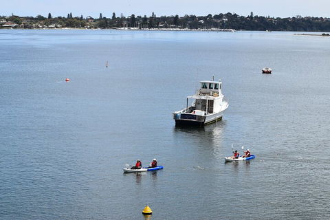 Cliffs And Caves Kayak Tour In Swan River - Tourism Brisbane 2