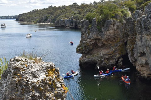 Cliffs And Caves Kayak Tour In Swan River - Tourism Brisbane 5