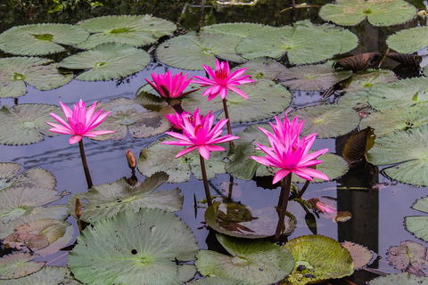 Kakadu, Nourlangie And Yellow Waters Tour From Darwin - Tourism Brisbane 1