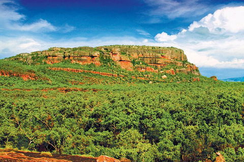 Kakadu, Nourlangie And Yellow Waters Tour From Darwin - Tourism Brisbane 3