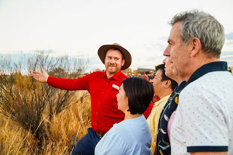 Uluru (Ayers Rock) Sunset With Outback Barbecue Dinner And Star Tour - Tourism Brisbane 3