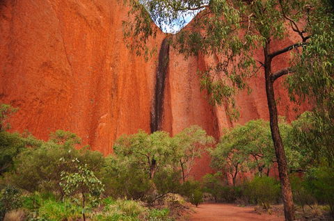 Uluru Sunrise And Guided Base Walk - Brisbane Tourism 3