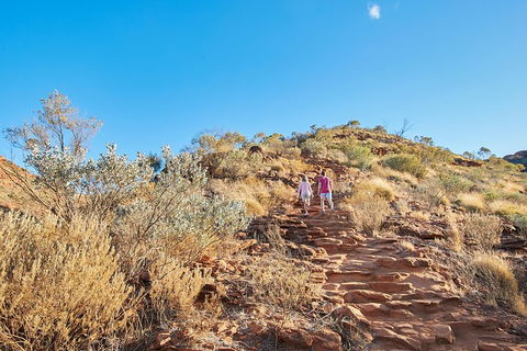 Kings Canyon Guided Rim Walk - Tourism Brisbane 1