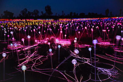 Uluru (Ayers Rock) Field Of Light Sunrise Tour - Tourism Brisbane 1