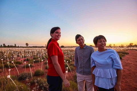 Uluru (Ayers Rock) Field Of Light Sunrise Tour - Tourism Brisbane 2
