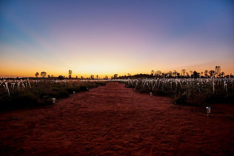 Uluru (Ayers Rock) Field Of Light Sunrise Tour - Tourism Brisbane 3