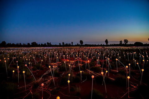 Uluru (Ayers Rock) Field Of Light Sunrise Tour - Tourism Brisbane 4