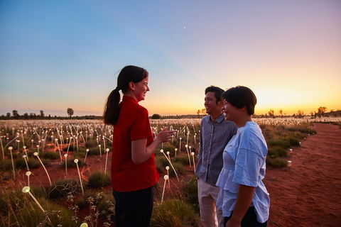 Uluru (Ayers Rock) Field Of Light Sunrise Tour - Tourism Brisbane 5