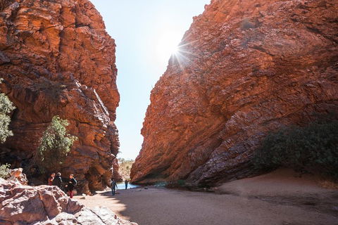 West MacDonnell Ranges- Half Day Trip From Alice Springs - Tourism Brisbane 0