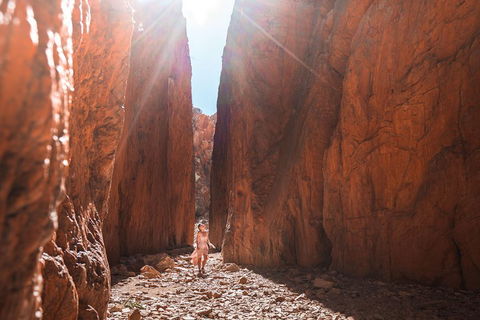West MacDonnell Ranges- Half Day Trip From Alice Springs - Tourism Brisbane 4