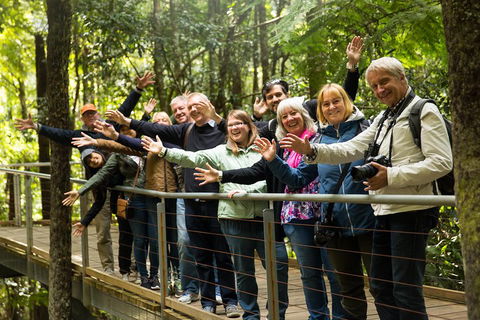 All Inclusive Blue Mountains Small-Group Day Trip From Sydney - Tourism Brisbane 5