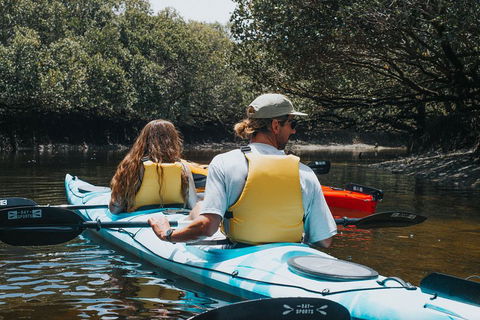 Kayak Tour In Adelaide Dolphin Sanctuary - Tourism Brisbane 2