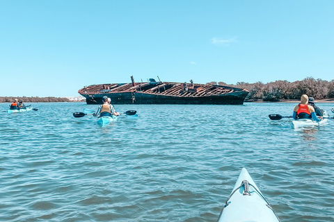 Kayak Tour In Adelaide Dolphin Sanctuary - Tourism Brisbane 3