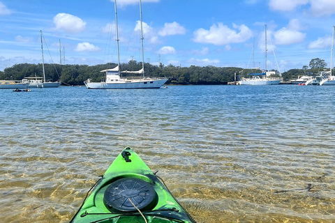 Kayak Tour In Adelaide Dolphin Sanctuary - Tourism Brisbane 4
