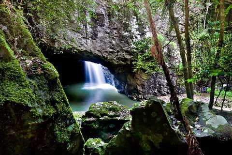 Natural Bridge & Springbrook Waterfalls Tour + Hot Air Balloon With Breakfast - Tourism Brisbane 4