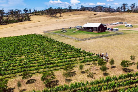 Tasmanian Wine Tour - Tourism Brisbane 3