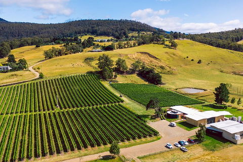 Tasmanian Wine Tour - Tourism Brisbane 4