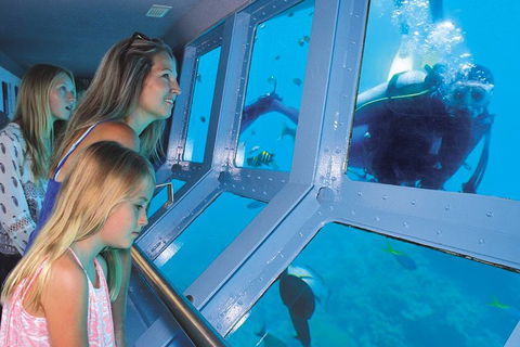 Quicksilver Outer Great Barrier Reef Snorkel Cruise From Palm Cove - Tourism Brisbane 0