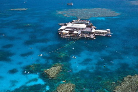 Quicksilver Outer Great Barrier Reef Snorkel Cruise From Palm Cove - Tourism Brisbane 1