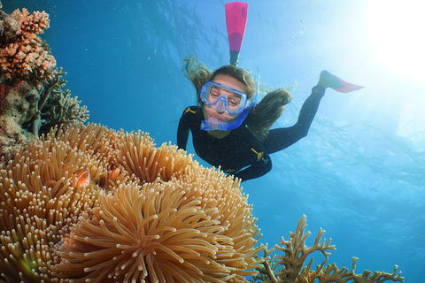 Quicksilver Outer Great Barrier Reef Snorkel Cruise From Palm Cove - Tourism Brisbane 2