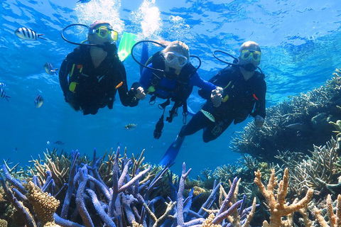 Quicksilver Outer Great Barrier Reef Snorkel Cruise From Palm Cove - Tourism Brisbane 3